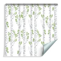 Tapeta Piękne Brzozy Latem