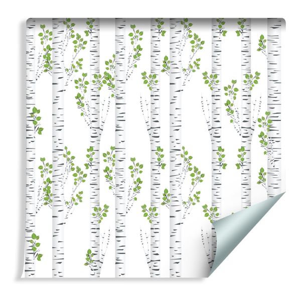 Tapeta Piękne Brzozy Latem zdjęcie 1