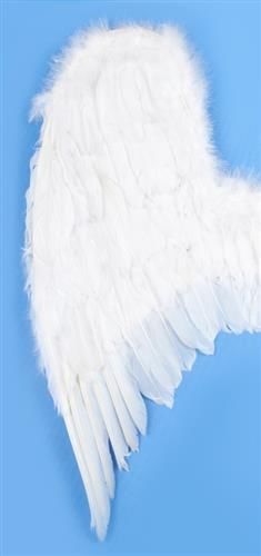 Skrzydła Anioła na Arena.pl