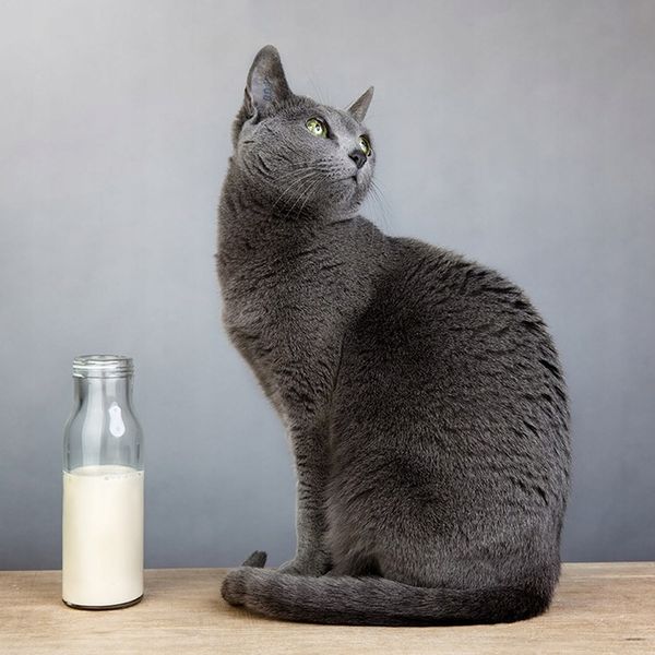 VERSELE-LAGA Classic Cat Variety 10kg zdjęcie 3
