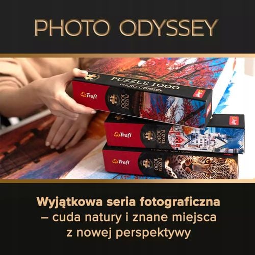 puzzle 1000 premium neuschwanstein castle 10813 na Arena.pl