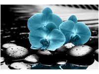 product-compare-58694908