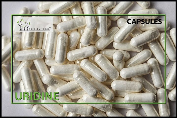 FOREST URYDYNA UMP 100 kaps ALZHEIMER MÓZG zdjęcie 2