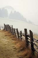 Plakat 56,6x86,4cm Spowity Mgłą