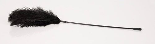 Black feather Bad Kitty na Arena.pl