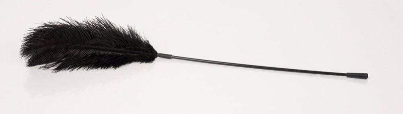 Black Feather Bad Kitty zdjęcie 2