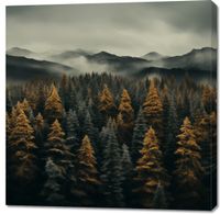 product-compare-59468579