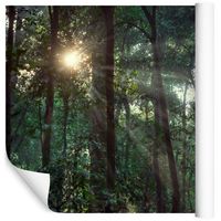 Fototapeta Las Drzewa Zieleń DEKOR do Salonu 315x210