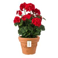 Doniczka okrągła tradycyjna terakota Ø 57cm