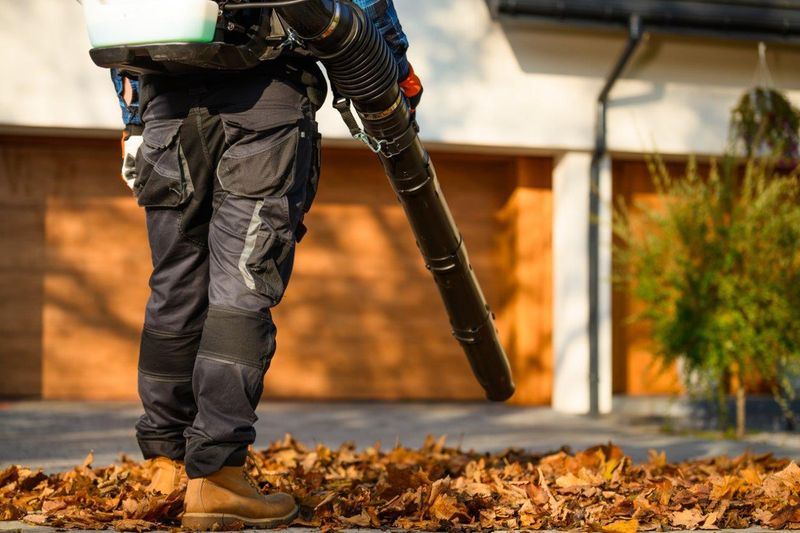 CEDRUS DM05 PRO PROFESJONALNY ODKURZACZ  DMUCHAWA SPALINOWA OGRODOWA DO LIŚCI - OFICJALNY DYSTRYBUTOR - AUTORYZOWANY DEALER CEDRUS zdjęcie 9