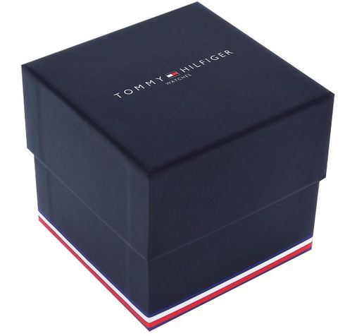 Zegarek Męski Tommy Hilfiger Luke 1791121 + BOX na Arena.pl
