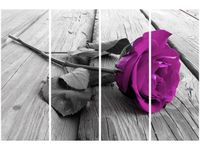 120CM 80 OBRAZ 4 ELEM WYRAZISTA RÓŻA ŚCIENNY