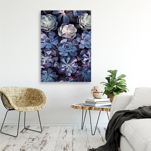 Deco Panel, Sukulenty kaktusy ozdobne 30x40 na Arena.pl