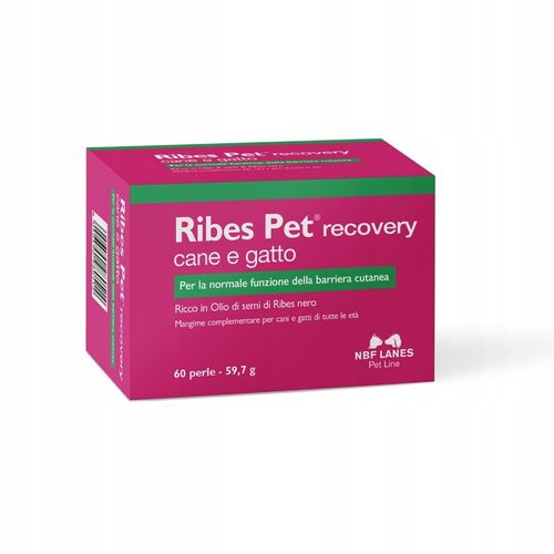 Ribes Pet recovery Cane e Gatto 60 kaps NBF Lanes * na Arena.pl