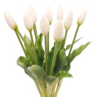 TULIPANY SILIKONOWE jak ŻYWE 34 cm TULIPAN BIAŁY