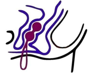 Kule Gejszy Vibe Therapy Fascinate Lux zdjęcie 4