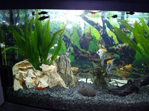 LAWA LAWA WULKANICZNA 2-8 mm 25 kg ŻWIREK AKWARIUM NA DNO na Arena.pl