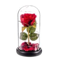Figurka Dekoracyjna Caison Rosa roja eterna leds cupula cristal 20 cm