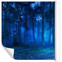 Fototapeta Las we Mgle NATURA Drzewa do Sypialni 360x240