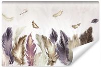 product-compare-55274873