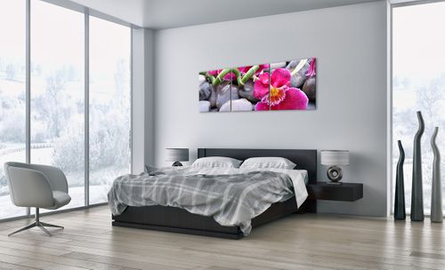 Obraz Na Płótnie - Storczyk Kamień - 150X50 Cm - Ca150X50-0465 na Arena.pl