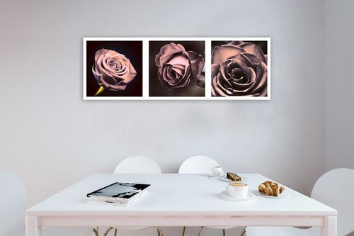 Obraz na płótnie – Canvas, Panorama róże 150x50 na Arena.pl