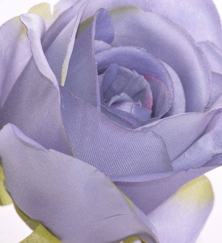 Róża główka grey edge green na Arena.pl