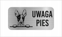 GRAWER Tabliczka nierdzewna 20x10 UWAGA PIES Podenco z Ibizy