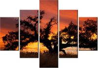 70 100CM OBRAZ 5 ELEM DĄB ZACHODZĄCYM SŁOŃCU DON MCCULLOUGH DRUK PŁÓTNO