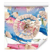 Tapeta do jadalni nasiona dmuchawca kwiaty łąki