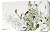 Obraz 60x40cm Wild Dandelions, Seitei Japoński Vintage