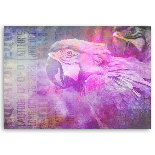 Deco Panel, Papuga 60x40 na Arena.pl