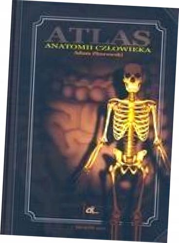 Atlas anatomii człowieka. Adam Zborowski na Arena.pl