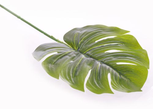 Liść philo ceratowy 18cm na Arena.pl