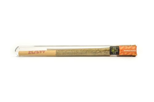 Pre-Rolls CBD "Mango Kush" na Arena.pl