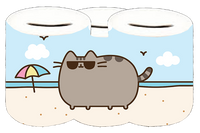 Skarbonka Pusheen