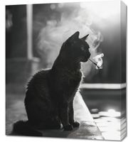 Obraz 60x70cm Kocia Przerwa