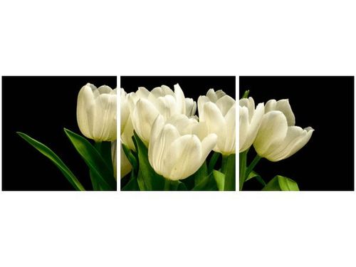 90X30CM BIAŁE TULIPANY MARK FREETH TRÓJ OBRAZ na Arena.pl