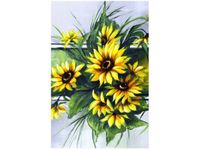 product-compare-58653346