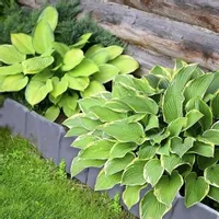 Obrzeże ogrodowe trawnikowe 10m ANTRACYT