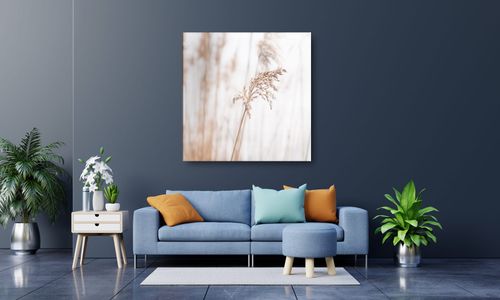 OBRAZ NA PŁÓTNIE 127 Źdźbło 40x40cm na Arena.pl