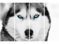 120CM 80 OBRAZ 4 ELEM GŁĘBOKIE SPOJRZENIE ŚCIENNY