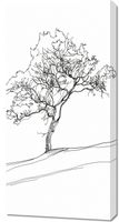 Obraz 50x100cm Drzewo w Zarysie