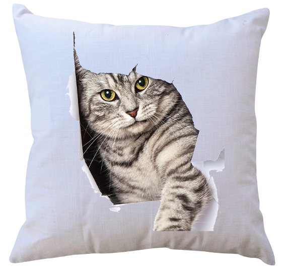 Poduszka Koty zdjęcie 1