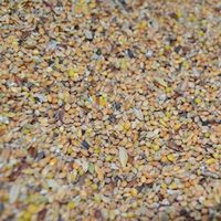 MIX zbożowy drobne nasiona mieszanka zbóż 25 kg