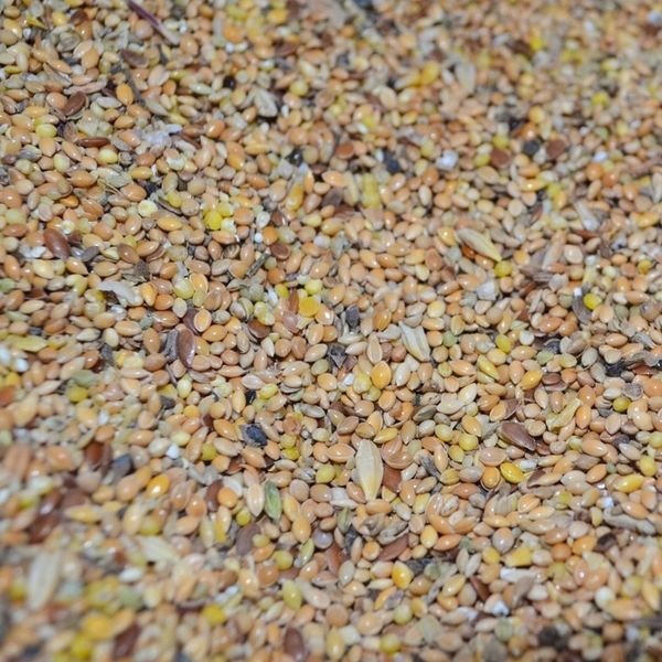 MIX zbożowy drobne nasiona mieszanka zbóż 25 kg zdjęcie 1