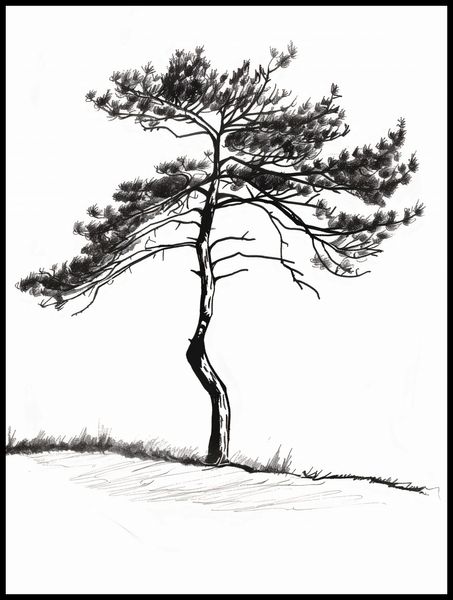 Plakat 75x100cm Samotna Sosna zdjęcie 2