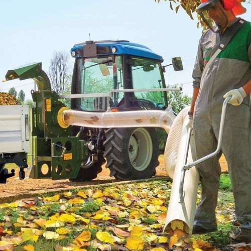 NEGRI TORNADOPTO na Arena.pl