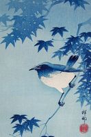 Plakat 20x30cm Robin on a Maple Branch, Koson Japoński Vintage do Salonu