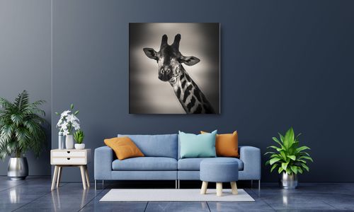 OBRAZ NA PŁÓTNIE 128 Żyrafa 40x40cm na Arena.pl
